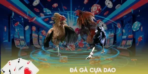 da-ga-cua-dao