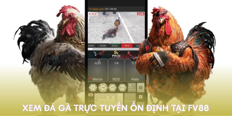 da-ga-cua-dao-loi-ich