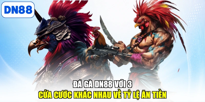 Các thể loại đá gà DN88 được yêu thích
