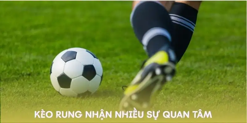 nhu-the-nao-la-keo-rung-duoc-nhieu-nguoi-quan-tam