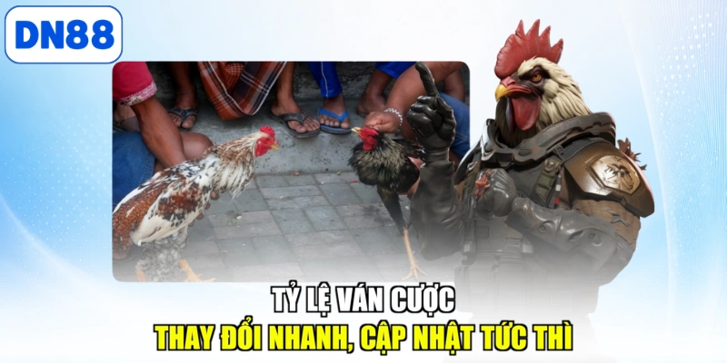 Tỷ lệ hoàn trả tại sảnh cược